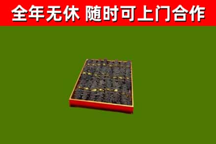 武安回收海参